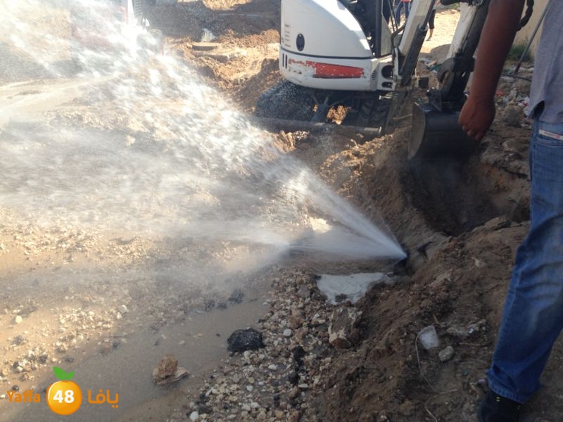 onbob samekh 7et (2).jpg